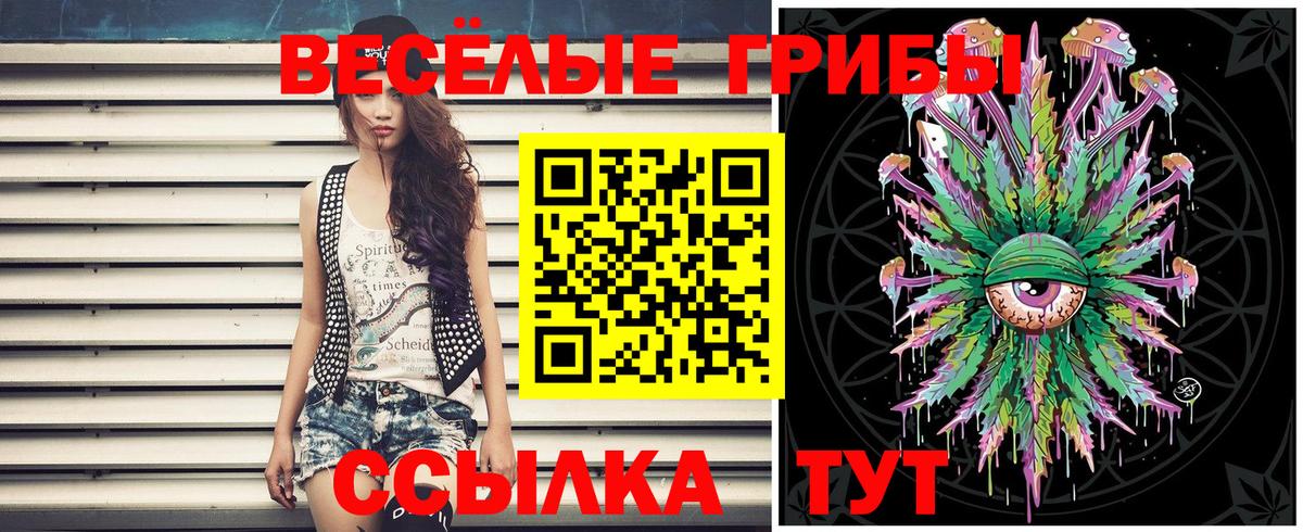 Псилоцибиновые грибы мухоморы Гагарин