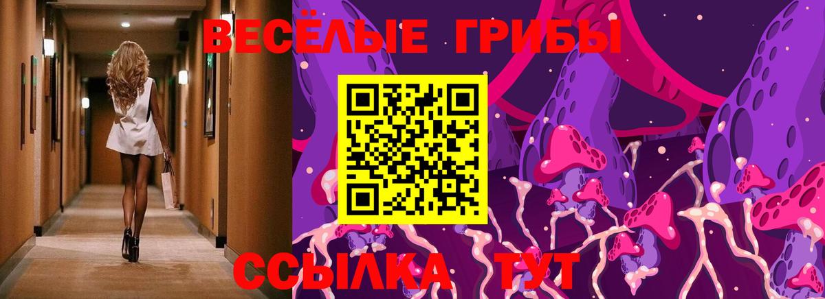 Гагарин  Псилоцибиновые грибы прущие грибы  Вход с VPN 